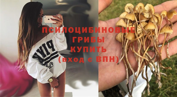 сатива Арсеньев