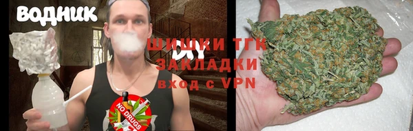 сатива Арсеньев