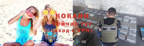 сатива Арсеньев