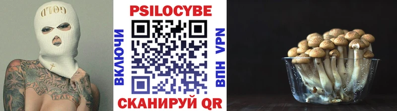 Псилоцибиновые грибы прущие грибы  Унеча 